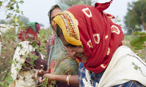 Casestudy popup image